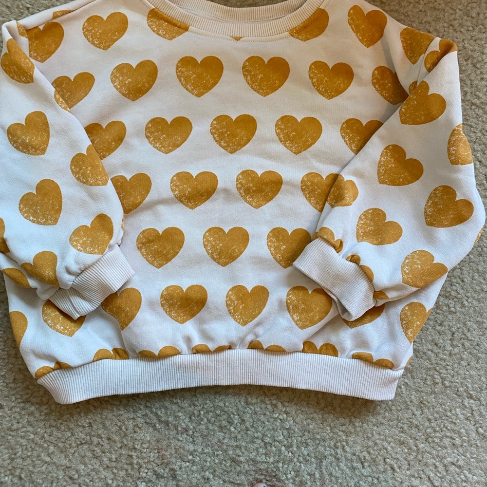 Girls Sweatshirt. Zara Brand and  Size 4-5.